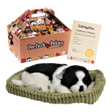 Pelucia Border Collie Adult