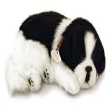 Pelucia Cachorro Border Collie