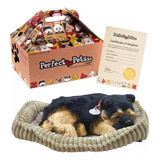 Pelucia Cachorro Filhote Perfect
