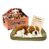 Pelucia Cachorro Filhote Perfect