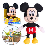 Pelucia De Agua Mickey