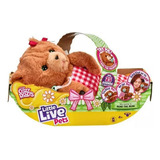 Pelucia Interativa Little Live Pets Cozy Dozys Beua O Urso Cor Marrom claro