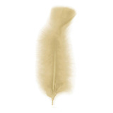 Pena De Galinha 100g Para Artesanato apx 600 Unidades Cor Bege