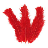 Pena De Galinha 100g Para Artesanato  apx  600 Unidades  Cor Vermelho