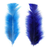 Pena De Galinha Kit 2 Cores Penas Coloridas 200 Und Arte Cor Azul Royal E Turquesa