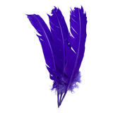 Roxo