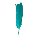 Tifani