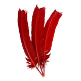 Vermelho