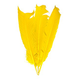 Pena De Pato Ponta Redonda 20 A 30cm 100g apx 45 Unidades 