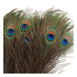 Pena De Pavão 50cm Carnaval Artesanato Decoração Festa 062