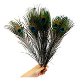 Pena De Pavão Penas Carnaval Artesanato Decoração Festa 071 Cor Natural