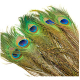 Pena De Pavão Penas Carnaval Artesanato Decoração Festa 087 Cor Natural