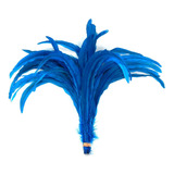 Pena Rabo De Galo Colorido Artesanato Carnaval 30 40 Cm 019