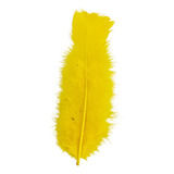 Penas Coloridas 200 Und Artesanato Pena De Galinha Cor Amarelo Canário