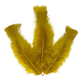 Penas Coloridas 200 Uni Arranjos Flores Decoração Festas Cor Dourado