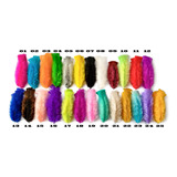 Penas Coloridas 200 Unidades Branco