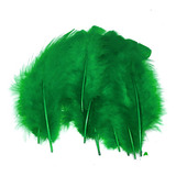 Penas Coloridas Marabu Carnaval Artesanato Pluma Festa 005 Cor Verde Bandeira