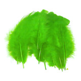 Penas Coloridas Marabu Carnaval Artesanato Pluma Festa 005 Cor Verde limão