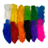 Penas Coloridas Para Flechas