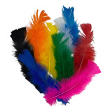 Penas Coloridas Para Flechas Petecas E Artesanato 600 Uni 