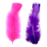Roxo