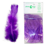 Penas Coloridas Pena De Galinha 200 Und P Peteca Artesanato Cor Roxo