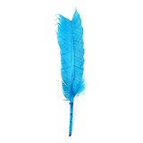 Penas De Pato Coloridas Carnaval Artesanato Decor 50 Un Cor Azul turquesa