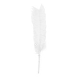 Penas De Pato Coloridas Carnaval Artesanato Decor 50 Un Cor Branco