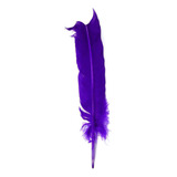 Penas De Pato Coloridas Carnaval Artesanato Decor 50 Un Cor Roxo