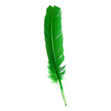 Penas De Pato Coloridas Carnaval Artesanato Decor 50 Un Cor Verde Bandeira