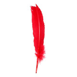 Penas De Pato Coloridas Carnaval Artesanato Decor 50 Un Cor Vermelho