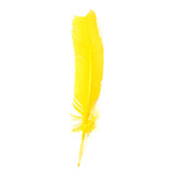 Un