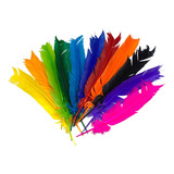 Penas De Pato Coloridas Com 30 Unidades Cor Minhas Cores