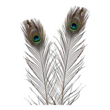 2un