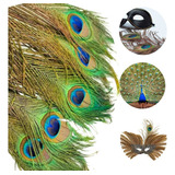 Penas De Pavão Decoração Plumas Artesanato Kit C 11 Unidades Cor Natural