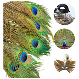 Penas De Pavão Decoração Plumas Artesanato Kit C 11 Unidades