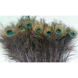 Penas De Pavão Naturais Decoração fantasia 30 Pçs 85 1 10 Cm