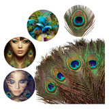 Penas Pavão p Artesanato e Decoração 25 30 Cm 30 Unidades