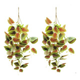Pendente Folhagem Coleus 2