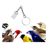 Pendrive Varios