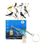 Pendrive Encarte 2 Em