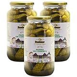 Pepino Em Conserva Danimar 800g KIT 3 VIDROS