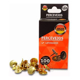 Percevejo Latonados Com 100