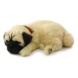 Perfect Petzzz Filhote Cachorro Pug Imex