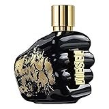 Perfume Masculino Diesel Spirit Of The