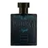 Perfume Vodka Night 100ml Edt - Paris Elysees
