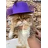 Persa Lindos Gatos Filhotes M/f Branco,garfield Entrego Hoje