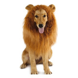 Peruca Para Pet Leao Seu Cão Uma Fera Kkkk Tamanho Grande