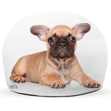 Peso De Porta Cachorrinho Dog Francês Bulldog Filhote Bichos