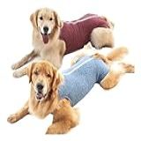 Pet Med Roupa Pós-Cirúrgica Cães Fêmea Nº10